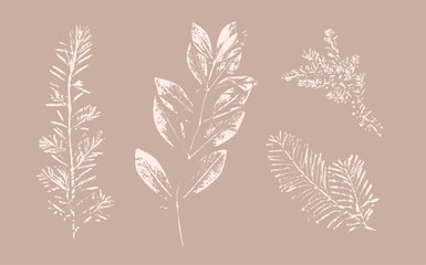 Pink tan and brown floral prints of botanical illustration. Decorative set of flowers and leaves pressed or stamped.