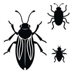 bug of insect vector black set icon vector illustr