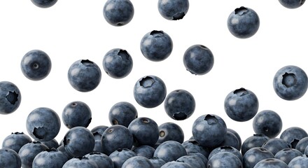 Fresh Blueberries Isolated on White Background for Culinary Use
