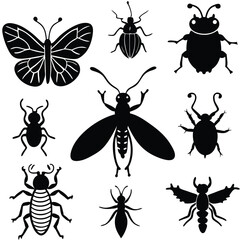 cute garden insect illustration clipart watercolo