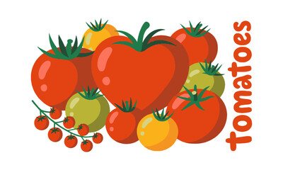 Modern vector illustration of various heirloom tomatoes in different shapes,, easily scalable and editable.