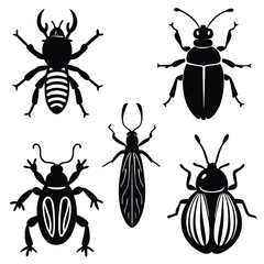 different bugs set insects summer species color