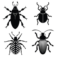 different bugs set insects summer species color