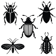 different bugs set insects summer species color