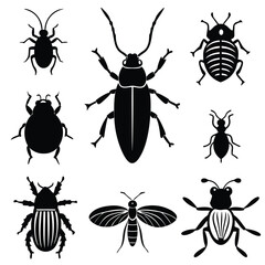 different bugs set insects summer species color