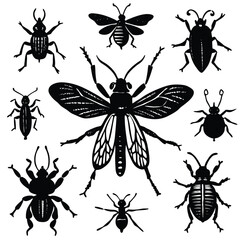 insects collection vintage illustration from bro