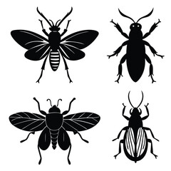set of insects