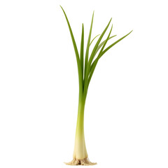 Fototapeta premium Highly Detailed Photorealistic Lemongrass Stalk, Capturing the Essence of Freshness and Natural Beauty in Striking Clarity