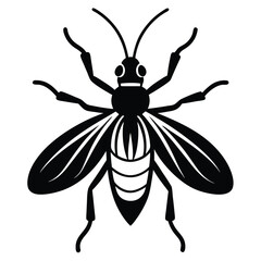 vector drawing insect bug illustration