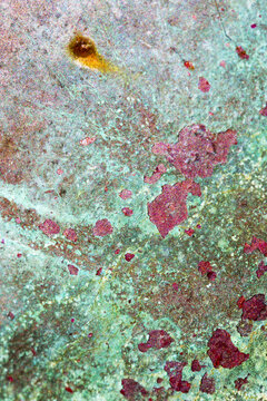 Green and red rust