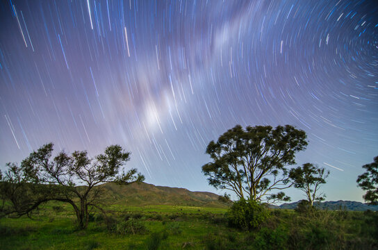Star trails in the bush
