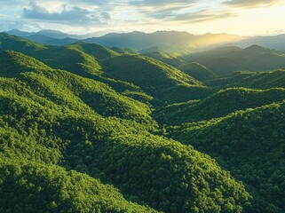 Obraz premium Expansive green forested mountain range under partly cloudy sky with gentle sunlight casting shadows, evoking calm and natural beauty