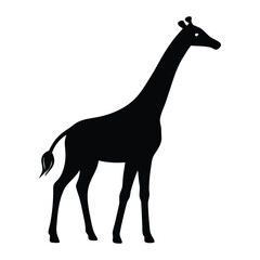 Fototapeta premium giraffe black silhouette illustration 