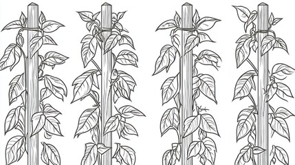 Gardening guide vine growth stages on stakes