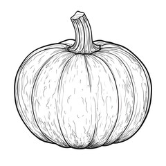 Detailed Line Art Design of a Flat Vector Pumpkin for Coloring Activities