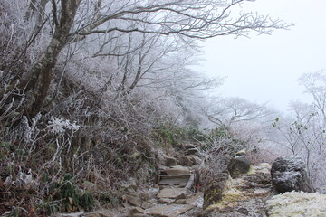 『冬の石鎚』雪山 石鎚山 