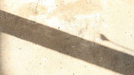 Shadow of a Bird on a Light Beige Wall