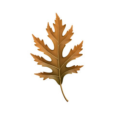 Obraz premium Intricately Detailed and Highly Realistic Autumnal Leaf Displayed Against a Clean Backdrop Creating a Striking Visual