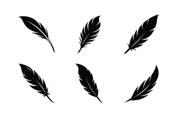 Bird feather silhouette  vector bundle  illustration, Set of bird feather silhouette 