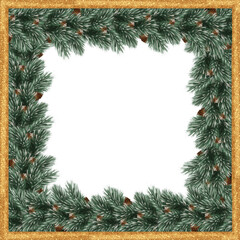 Hand-Drawn Pine Branch Square Frame with Cones and Gold Border