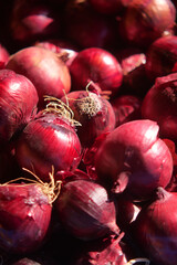 Fresh red onions gathered in a market display