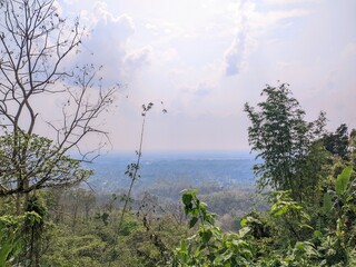 Obraz premium Scenic View of Dense Green Forest with Distant Horizon Under Cloudy Sky