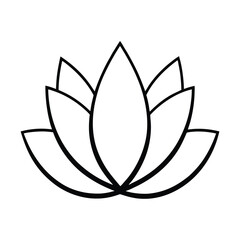 lotus flower vector