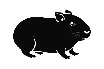 guineapig   silhouette  vector illustration