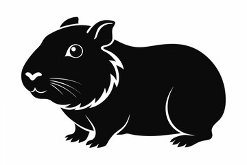 guineapig   silhouette  vector illustration