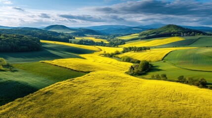 Scenic rural landscape with rolling hills, vibrant yellow fields, and lush green vegetation