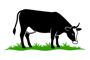 Obraz premium Cow Eating Grass in Pasture Vector