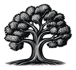 Fototapeta premium Detailed Tree Engraving with Intricate Leaf Patterns and Texture
