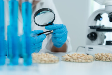Scientist check chemical whole grains residues in laboratory. Control experts inspect the...