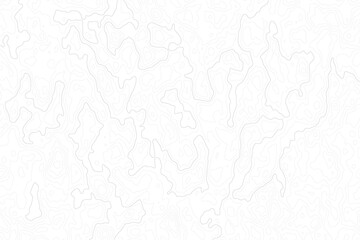 Fototapeta premium white background with abstract topographic grey contour lines creating a seamless pattern design A Perfect Fusion of Geometric Grid Lines, and Minimalist Design Elements