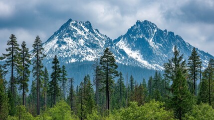 Majestic Mountain Peaks Surrounded by Lush Evergreen Forest Against a Dramatic Cloudy Sky in a Scenic Wilderness Landscape