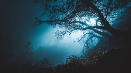 Mysterious Forest Landscape with Ethereal Fog and Glowing Sunlight Filtering Through Dark Trees and Dense Mist
