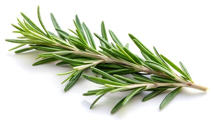 Fototapeta premium Rosemary twig isolated on white background
