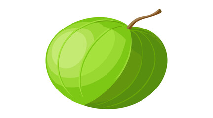 Single Green Gooseberry with Stem Isolated on White Background for Illustration and Design