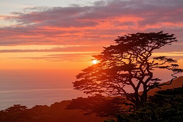 Obraz premium Fiery red and orange hues paint the sky during a breathtaking sunset over the silhouetted trees of the forest landscape