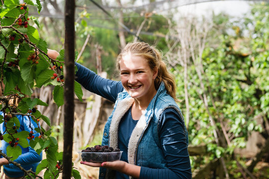 teen girl picking mulberries