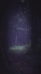 Mystical Forest Path Surrounded by Tall Trees and Soft Fog Under Ethereal Light with Green Foliage Creating an Enchanted Landscape Scene