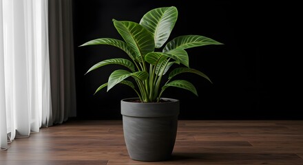 Fototapeta premium High Quality Photorealistic Generative AI Plant in Modern Pot