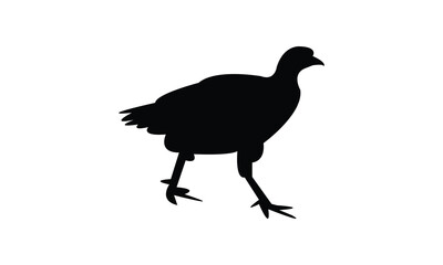 Obraz premium Ahanta spurfowl bird Silhouette Design And Vector Illustration. 