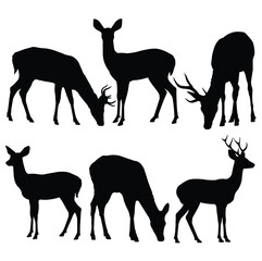 Silhouettes of deers isolated on white