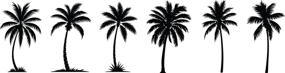Six silhouettes of tropical palm trees isolated