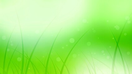 Fototapeta premium Abstract green grass background nature spring summer