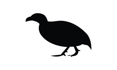 Ahanta spurfowl bird Silhouette Design  And Vector Illustration. 