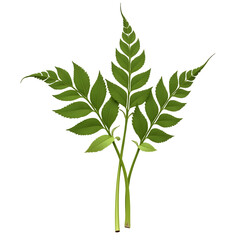 Fototapeta premium Photorealistic Image of Freshly Cut Green Leaves with Detailed Veins Against a Minimalist Aesthetic Background
