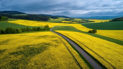 Obraz premium Winding road through vibrant yellow rapeseed fields, with rolling hills and forests in the background
