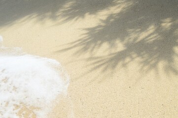 Close-up shot of a sandy beach with soft waves and the shadows of palm leaves casting interesting patterns on the sand. Ideal for backgrounds, travel themes, and summer concepts. 